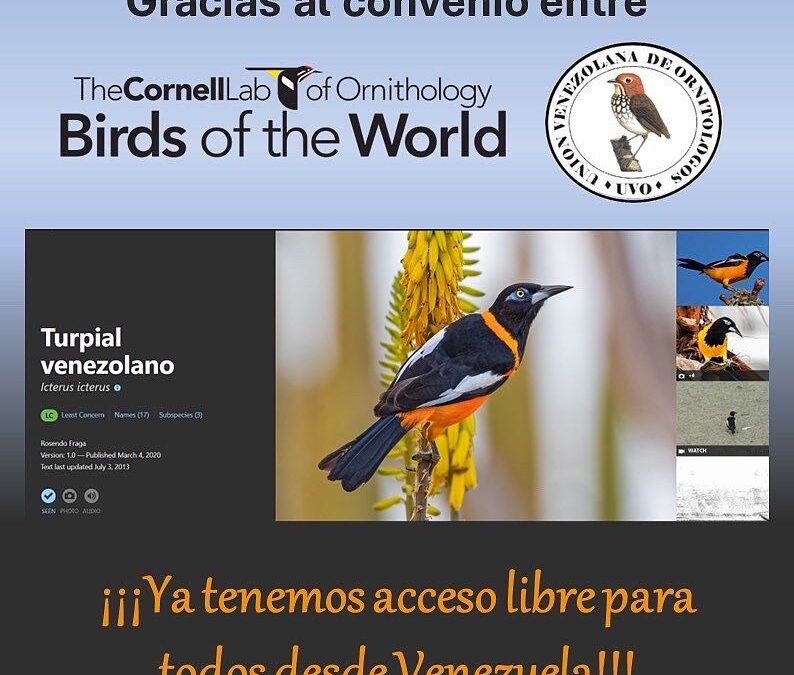 ACCESO LIBRE A LA PÁGINA BIRDS OF THE WORLD